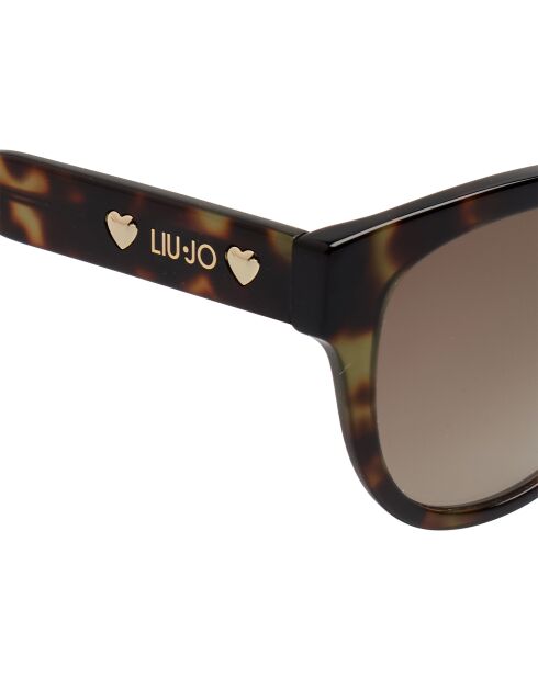 LJ772S runde Katzenaugen-Sonnenbrille aus dunklem Havanna-Azetat