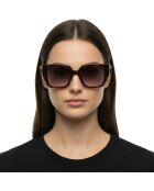 KL6098S Dark Havana rechteckige Sonnenbrille aus Azetat
