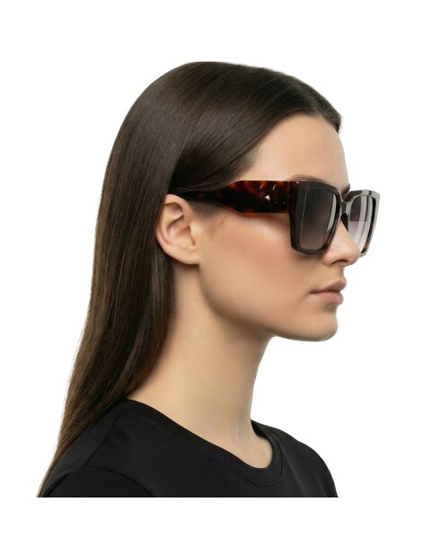 KL6098S Dark Havana rechteckige Sonnenbrille aus Azetat