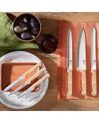 Set 6 couteaux de cuisine Artisan Bois
