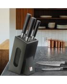 Bloc 5 couteaux de cuisine Katana