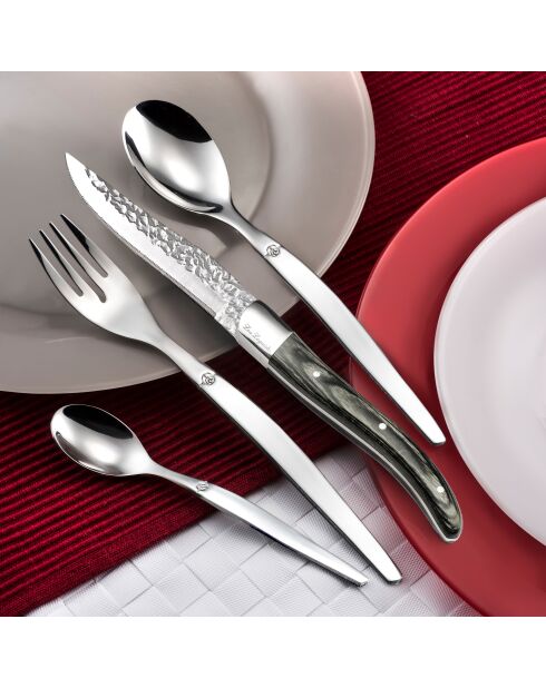 Set posate Jet Volcano - 24 pezzi