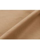 Lit Coffre Avec Tête de Lit en velours Double Senna le sable - 226x186x95cm