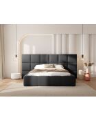 Lit Coffre Avec Tête de Lit en velours Double Isa gris - 230x250x125cm