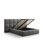 Lit Coffre Avec Tête de Lit en velours Double Isa gris clair - 230x200x125cm