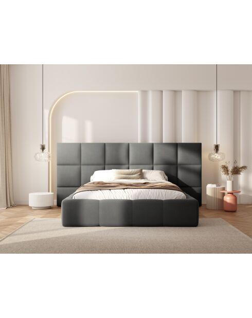 Lit Coffre Avec Tête de Lit en velours Double Isa gris clair - 230x200x125cm