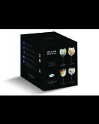 4 transparante Bach Roma Gin Selection-glazen - 60 cl