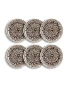 Set van 6 witte en paarse Nova-dessertborden in parmasteengoed — D.20,5 cm