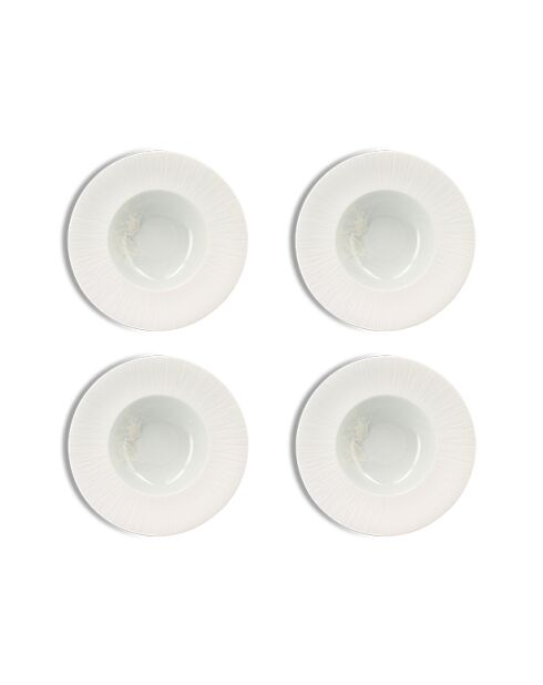 Lot 4 assiettes gourmet urus 23.5cm en porcelaine blanches et bleues - D.23 cm