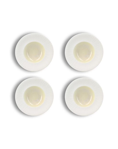 Lot 4 assiettes gourmet urus porcelaine beige et blanches - D.23.5cm