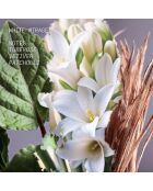 Eau de Parfum WHITE MIRAGE, 50 ml