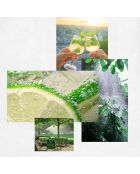 Perfume GREEN CRUSH, 50 ml