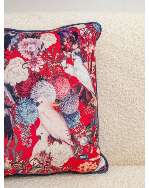 Mehrfarbiges Kissen „Vogel des Glücks“, 40 x 40 cm