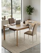 Sedia da tavolo in acciaio inossidabile marrone - 44x54x94 cm