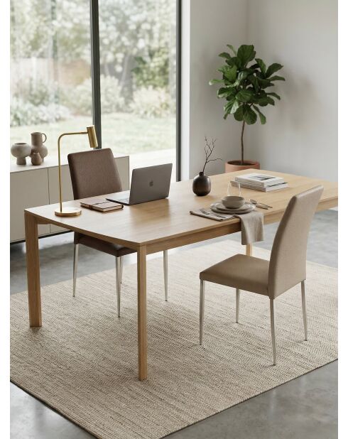 Chaise de table inox marron - 44x54x94 cm