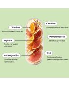 Nutri Fertility Man - 3-Monatskur 180 Kapseln - 300 ml