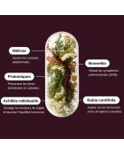 Probio Mestruation - Cura della sindrome premestruale e dolori mestruali 60 capsule - 100 ml