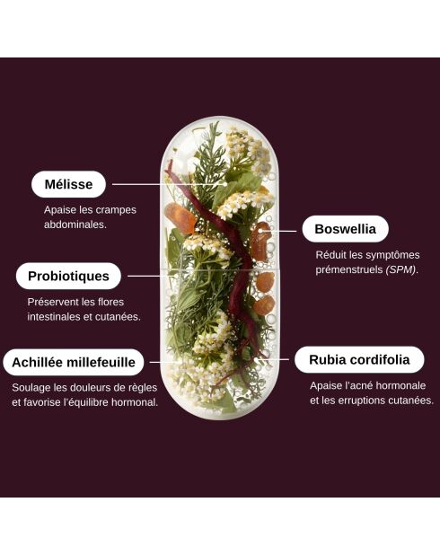 Probio Mestruation - Cura della sindrome premestruale e dolori mestruali 60 capsule - 100 ml