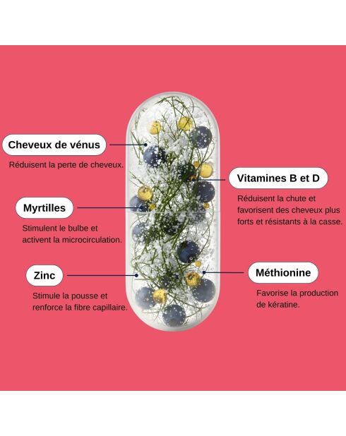 Haarausfall bei Frauen - 3-Monatskur 180 Kapseln - 300 ml