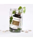 Probio Glutamine - Cura la digestione e la deflazione addominale 90 capsule - 200 ml