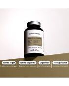 Probio Glutamine - Cura la digestione e la deflazione addominale 90 capsule - 200 ml