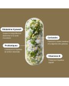 Probio Glutamine - Cura la digestione e la deflazione addominale 90 capsule - 200 ml