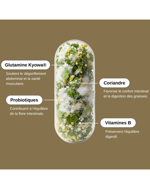 Probio Glutamine - Cura la digestione e la deflazione addominale 90 capsule - 200 ml