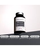 BCAA 2.1.1 - Cura para el rendimiento físico 120 cápsulas - 300 ml