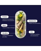 Testo Max - Cure booster de testostérone 60 gélules - 100 ml