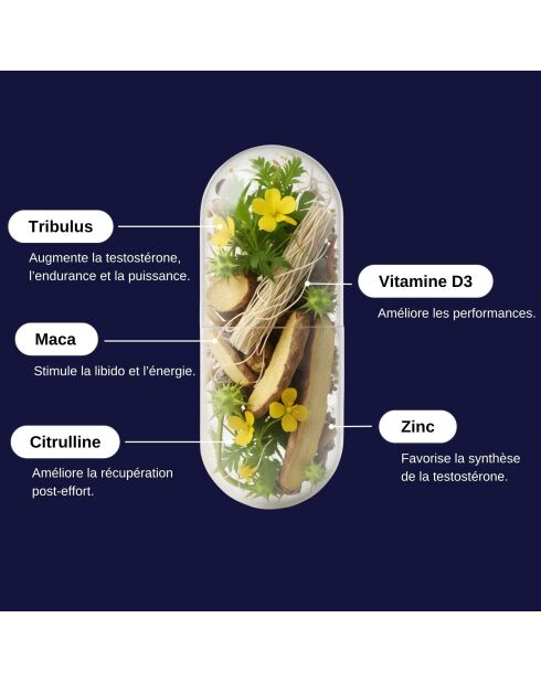 Testo Max - Cure booster de testostérone 60 gélules - 100 ml