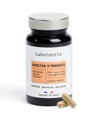 Energy Booster - Vitality Cure 60 cápsulas - 100 ml