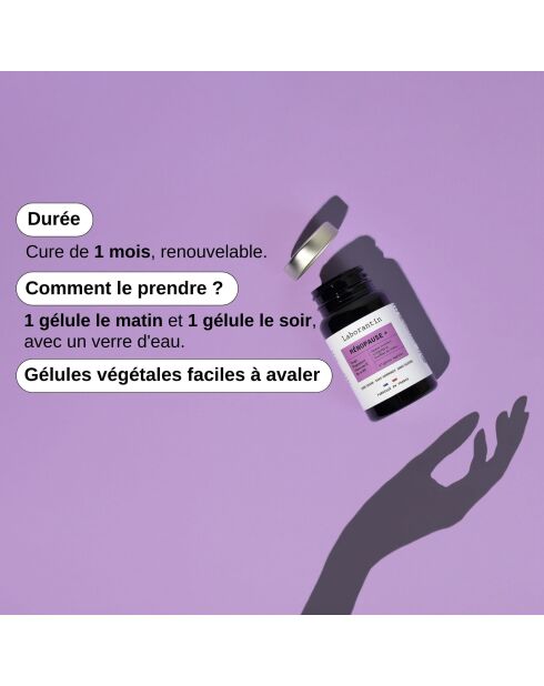 Menopausia + - Cura de la premenopausia y la menopausia 60 cápsulas - 100 ml