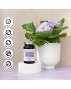 Menopausia + - Cura de la premenopausia y la menopausia 60 cápsulas - 100 ml