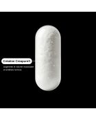 Creatine Mass Extreme - Kuur voor massatoename 120 capsules - 200 ml