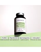 Nutri Fertility Man - Fruchtbarkeitsbooster-Kur 60 Kapseln - 100 ml