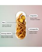 Libido Boost - Donna - Cura del desiderio femminile 60 capsule - 100 ml