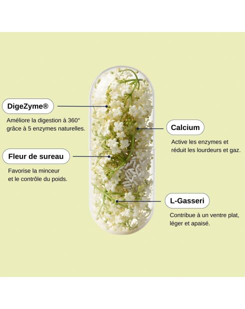 Probio Slim Digest - Cura la digestione e la perdita di peso 60 capsule - 100 ml