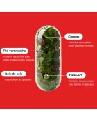 Bruciagrassi - Cura per la perdita di peso 60 capsule - 100 ml