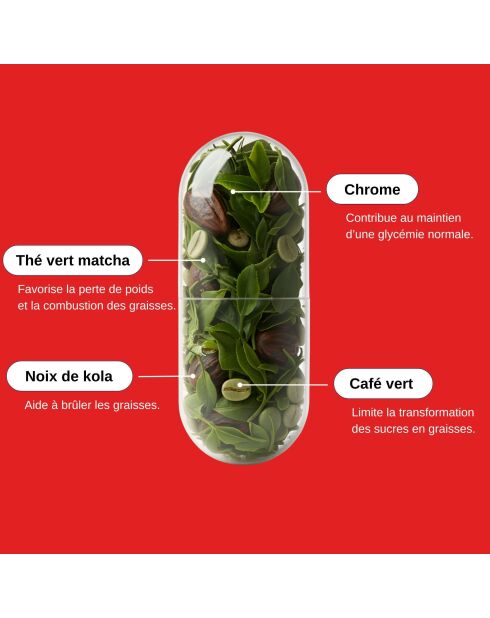 Bruciagrassi - Cura per la perdita di peso 60 capsule - 100 ml