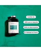 Biologische spirulina - Toon- en energiekuur 500 tabletten - 500 ml