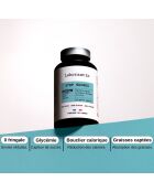 Stop Sugars - Cura la glucemia 60 cápsulas - 100 ml