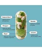 Stop Sugars - Cura la glucemia 60 cápsulas - 100 ml
