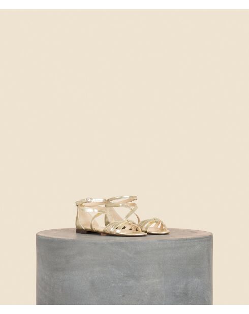 Santiago gouden platte sandalen