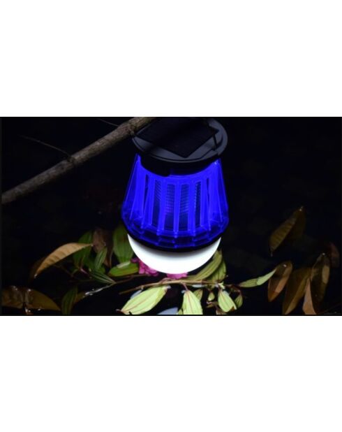 Set di 4 trappole per zanzare da esterno Mosquito Stop MS 30 Trasparente - 38x14,5x9,5 cm