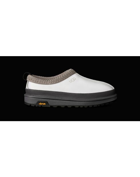 Zapatillas Tasman Reflective gris claro