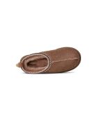 Pantofole marroni Tasman Biarritz