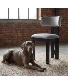 Ceriz Design-Esszimmerstuhl aus grauem Samt und schwarzem Holz - 45x48x78 cm