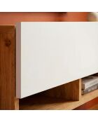 Soporte de TV de pared con 1 puerta basculante, pino, madera clara y blanco - 100x31 6x29 x 1 cm
