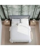 Cama doble Magorial con base elevable de terciopelo gris - 140x190 cm