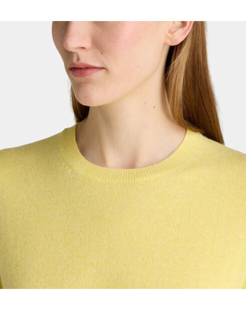 Jersey recto Zabri en porcelana de cachemir amarilla